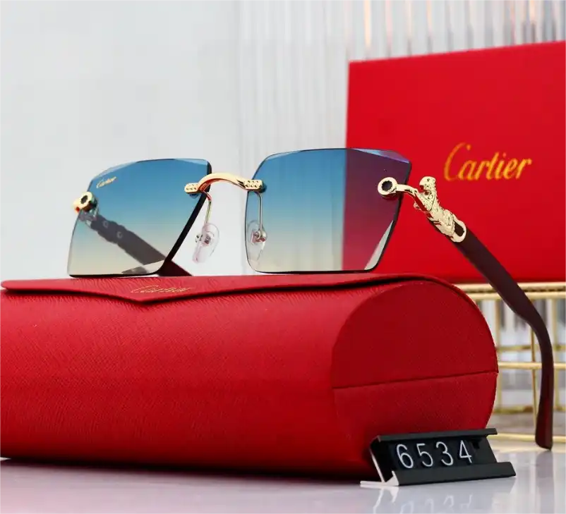 Cartier Sunglasses — foto 5 de 6