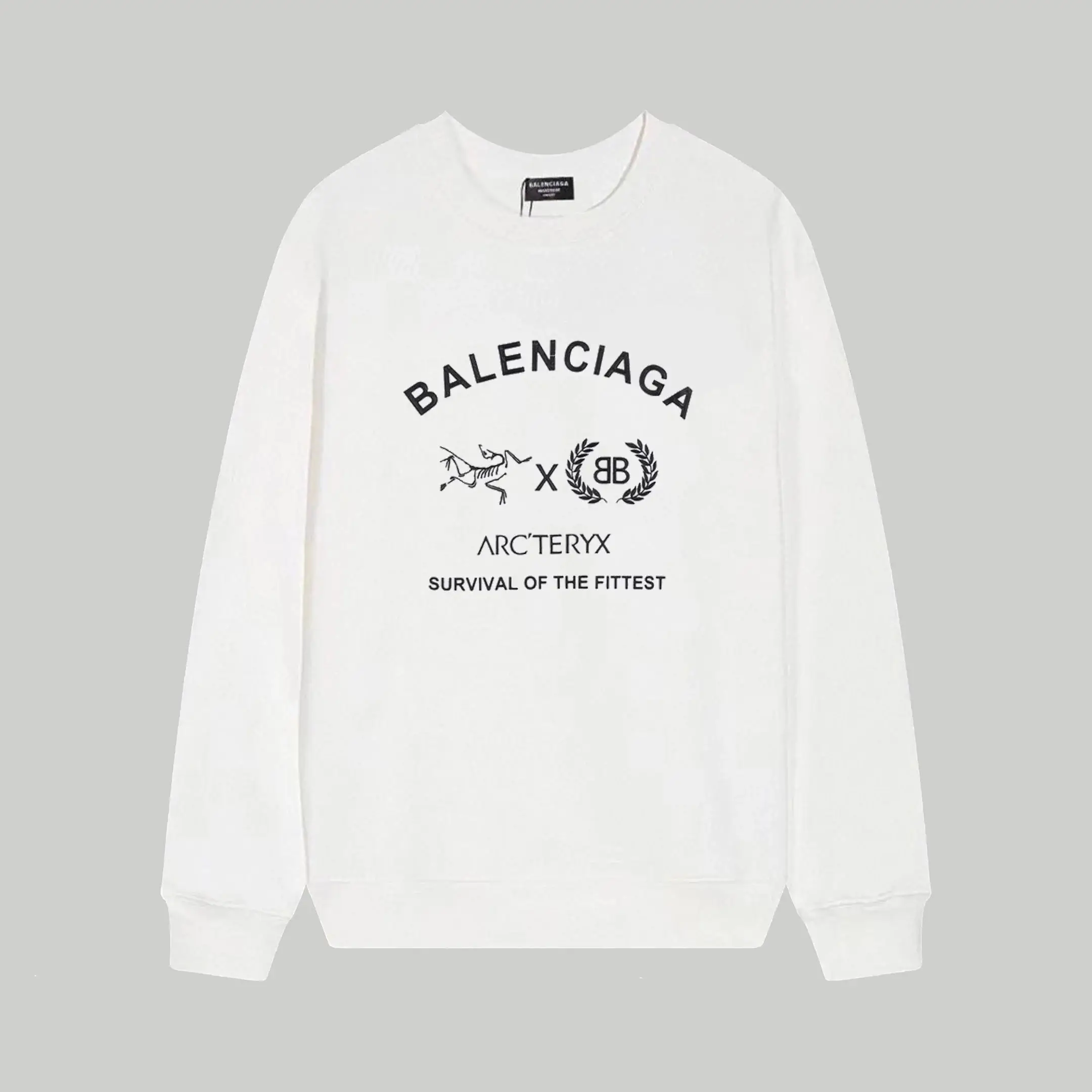 Balenciaga Hoodie (15 styles) — foto 6 de 6