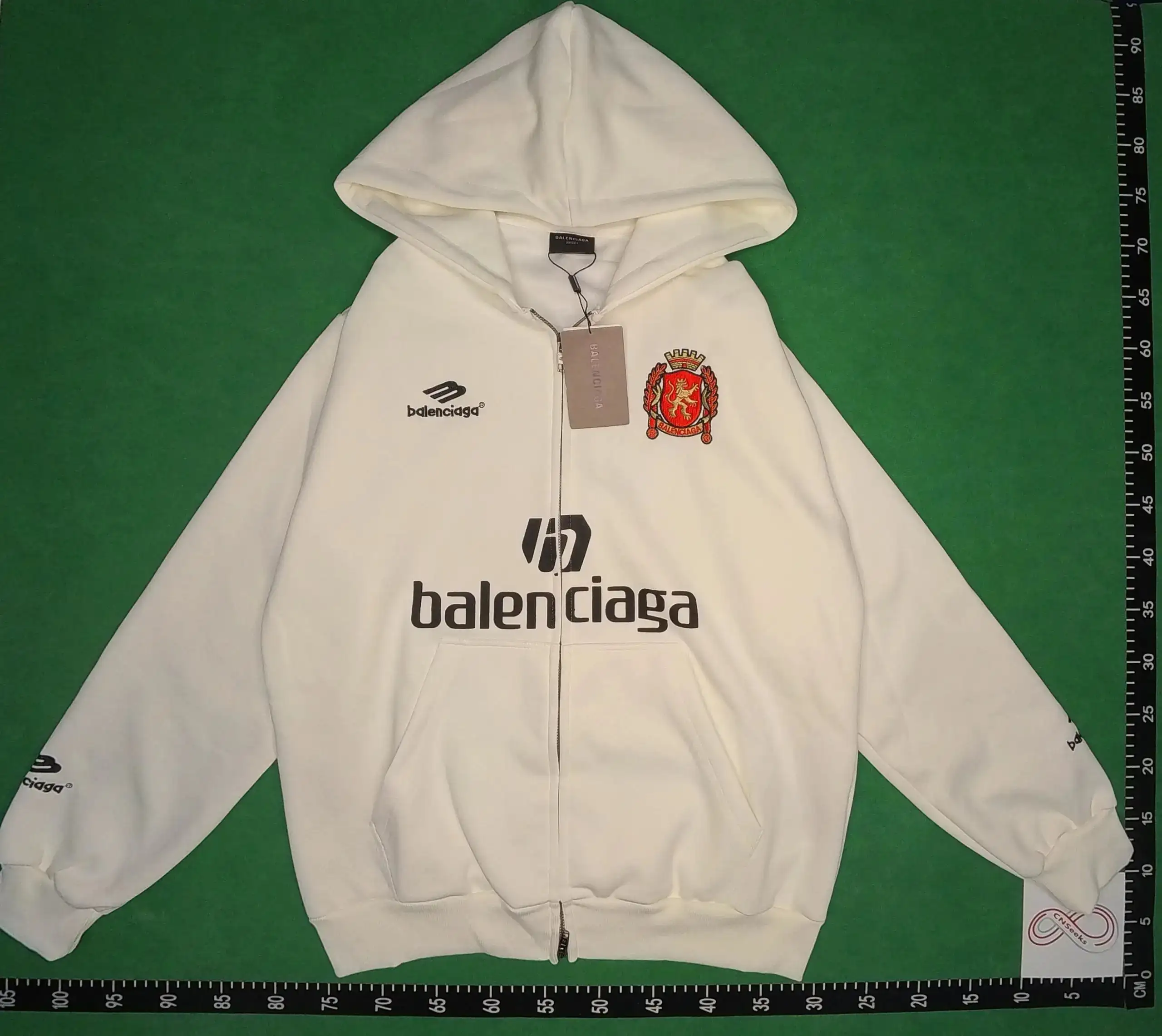 Balenciaga Hoodies [39 styles] — foto 4 de 6