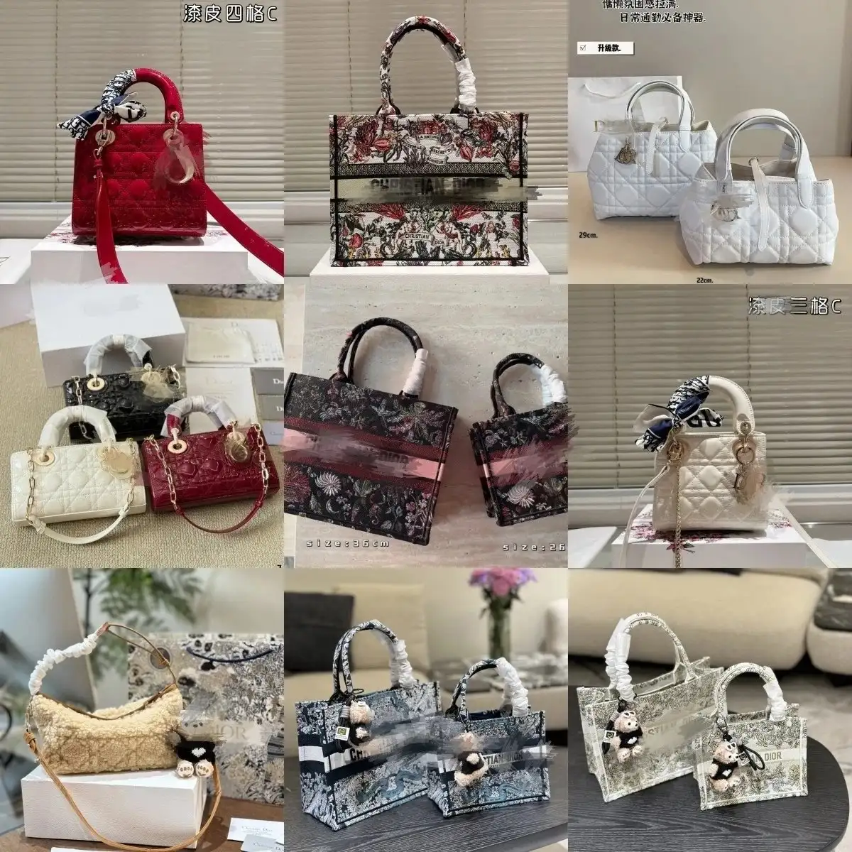 Dior Handbags [35 styles]