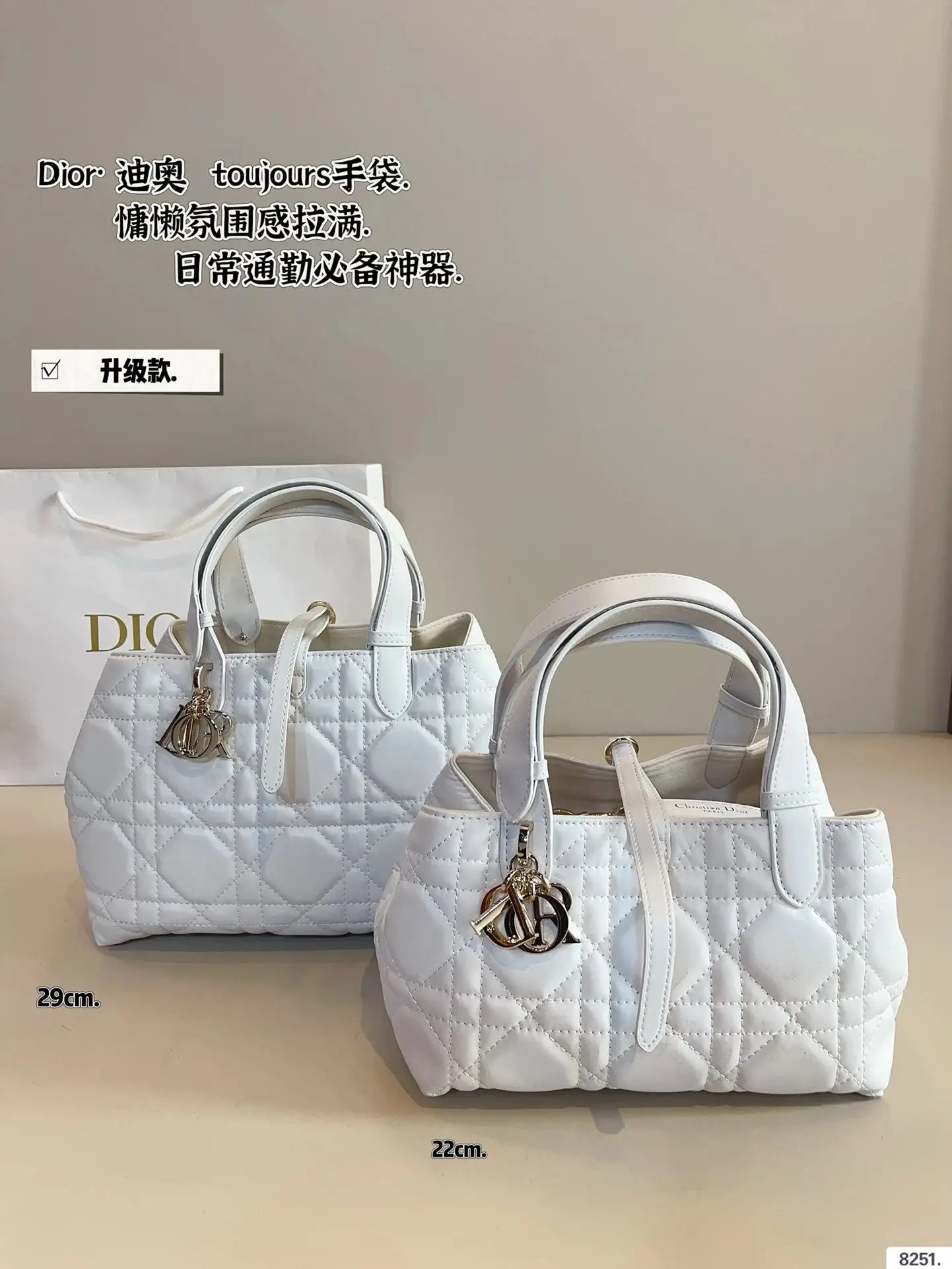 Dior Handbags [35 styles] — foto 2 de 6