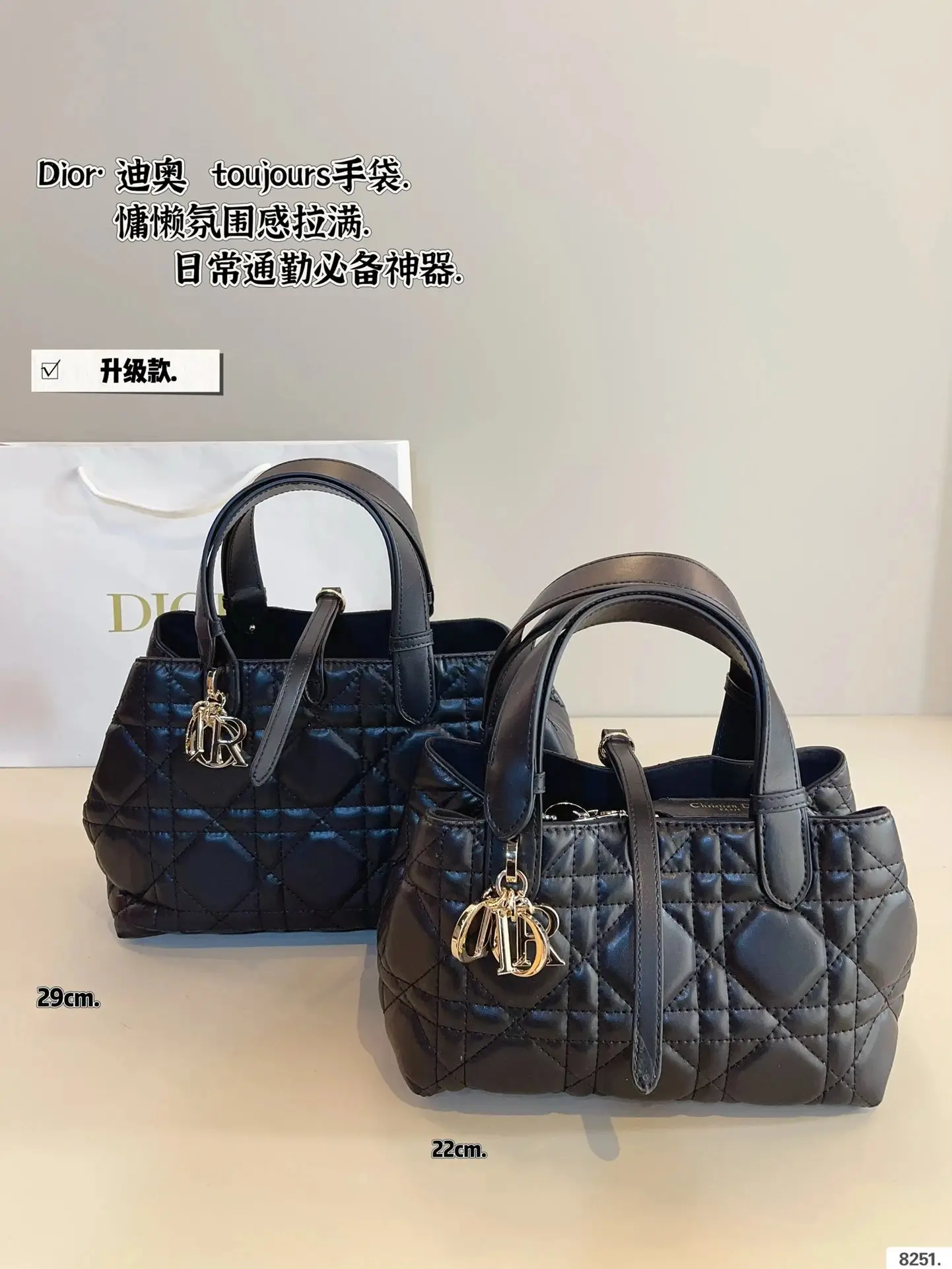 Dior Handbags [35 styles] — foto 3 de 6