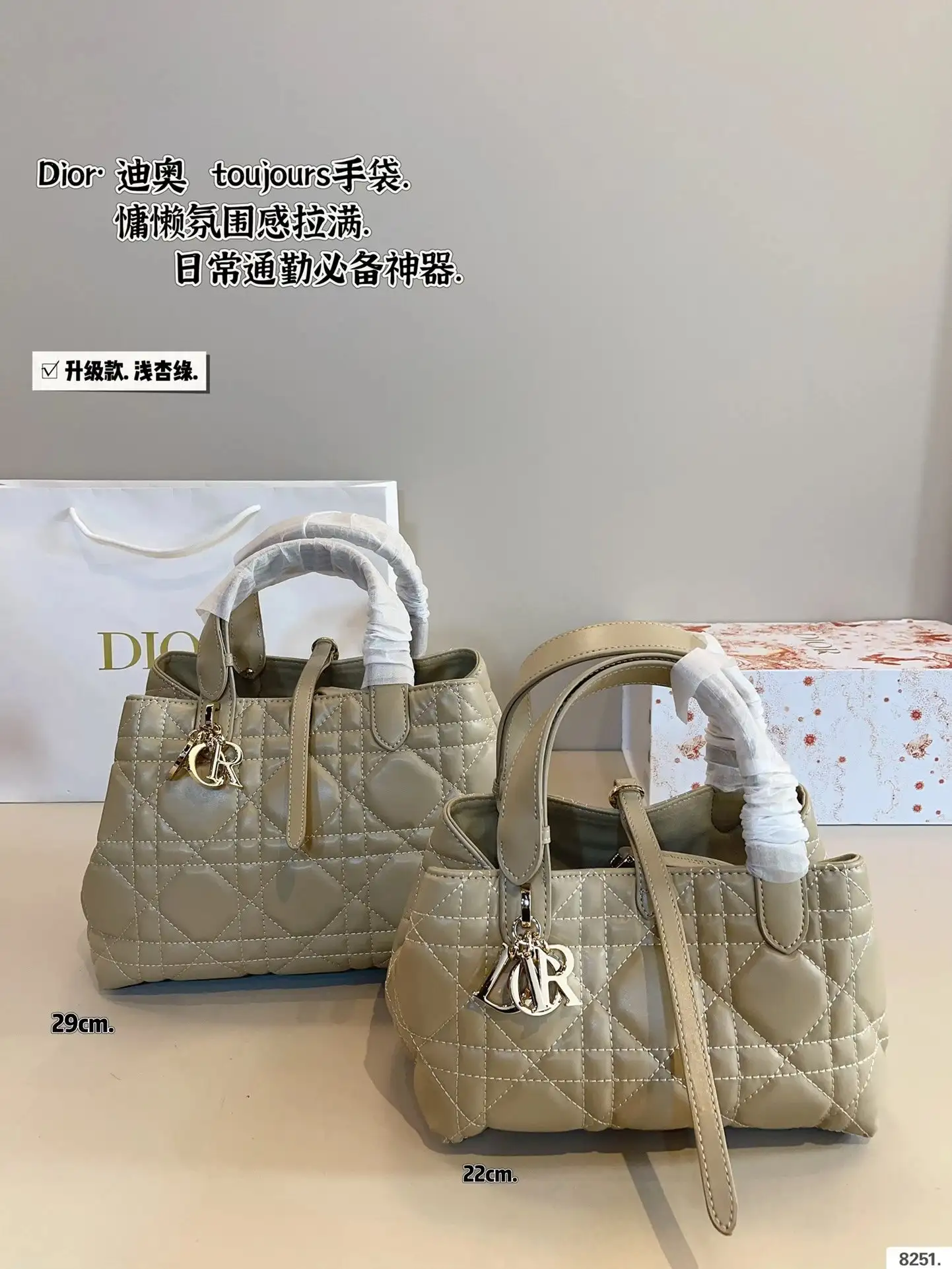 Dior Handbags [35 styles] — foto 4 de 6