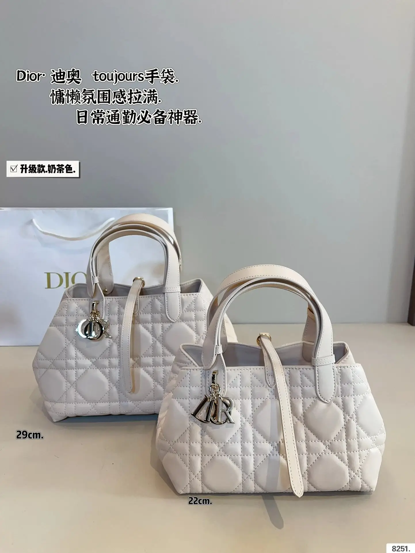 Dior Handbags [35 styles] — foto 5 de 6