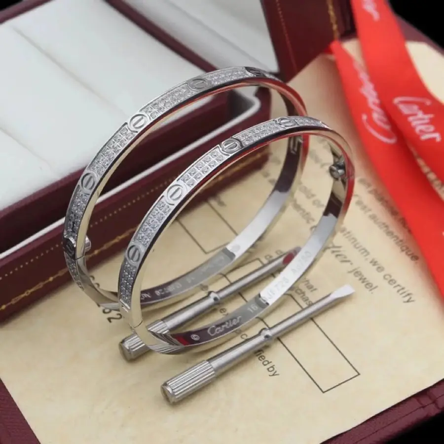Cartier Bracelets [18 styles] — foto 6 de 6